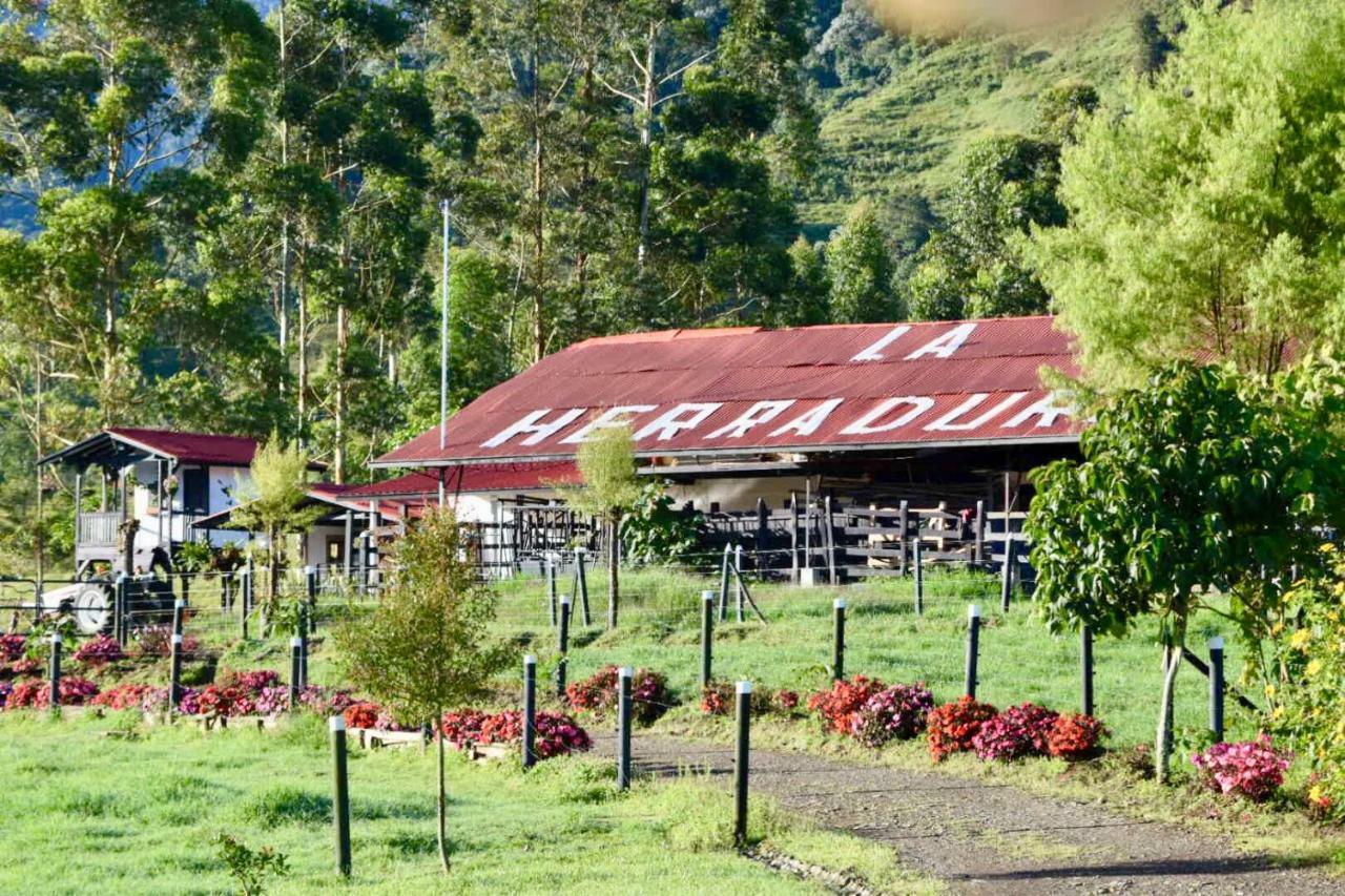 La Herradura Lodge Santa Rosa de Cabal Zewnętrze zdjęcie